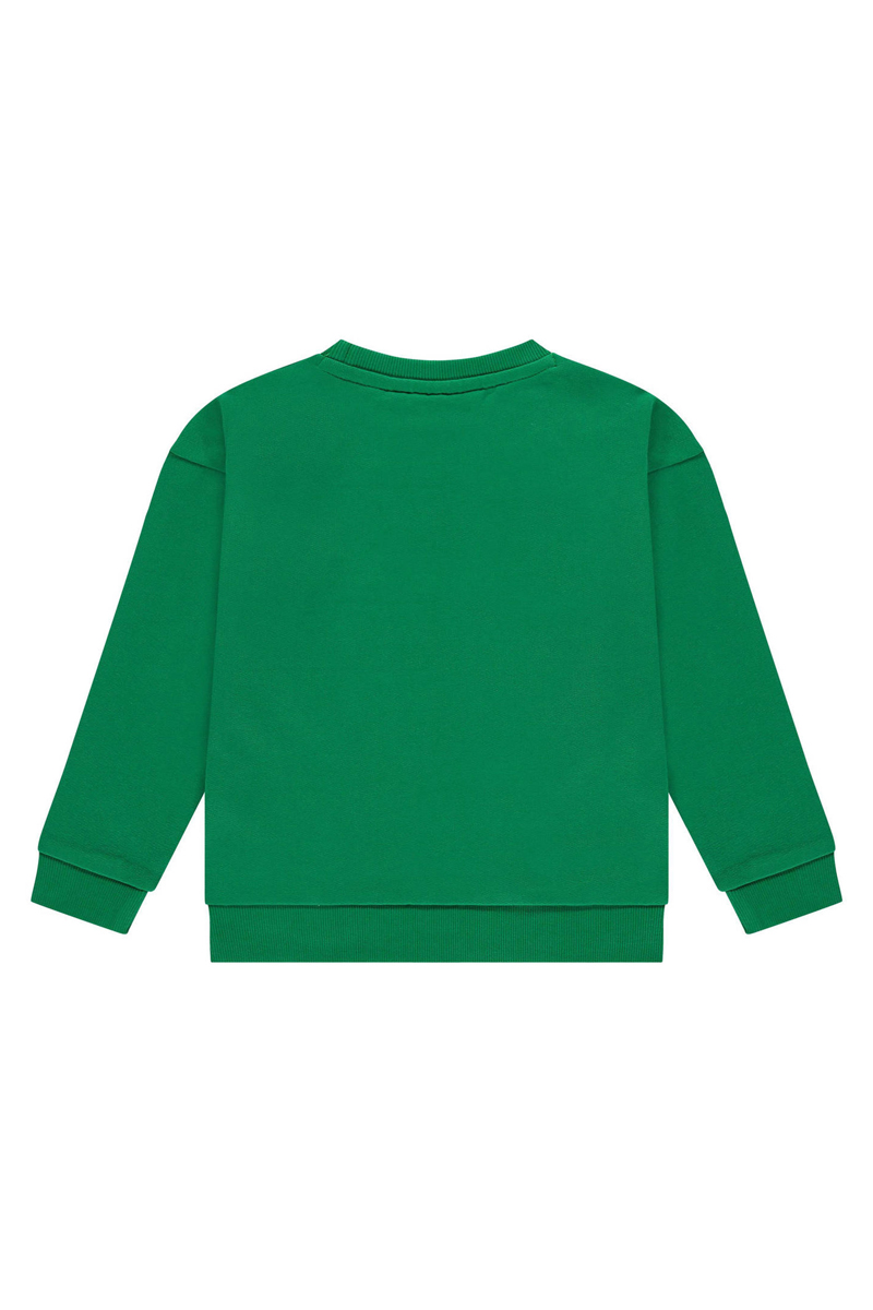 Stains and Stories Boys sweatshirt Groen-1 2